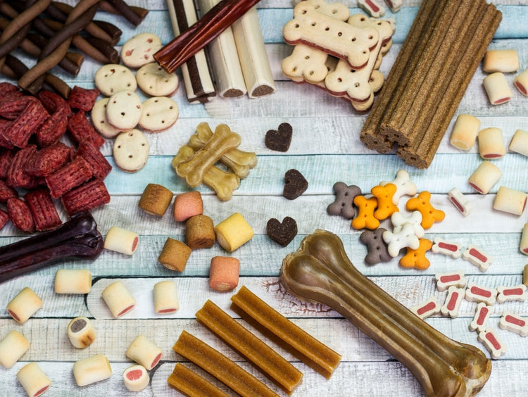 Resealable Pet Food and Pet Treats Packaging Solutions